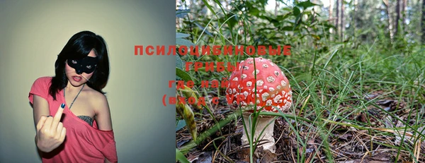 каннабис Протвино